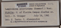 Image Associated With the Occurence